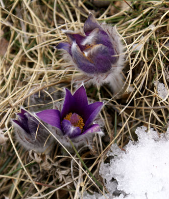 2008-03-Aubeyron/09petit.jpg