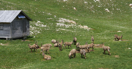 2009-05-Petit-Veymont/14petit.jpg