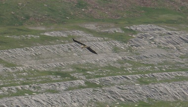 2014-08-Gavarnie/C17petit.jpg