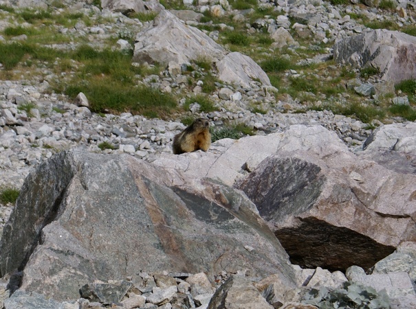 2015-27-Replat/07petit.jpg