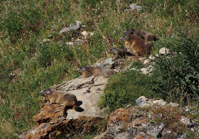 2019-07-Pointedemi/15petit.jpg