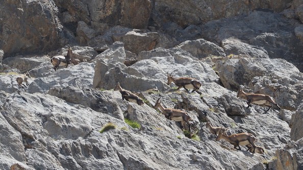 2023-07-Galibier/22petit.jpg