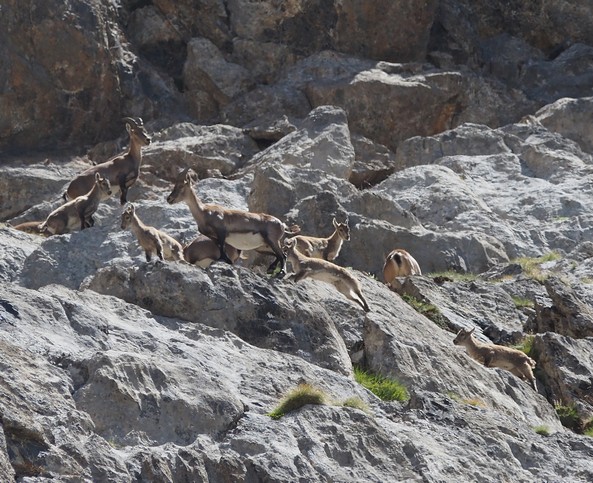 2023-07-Galibier/24petit.jpg
