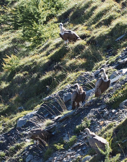2026-09-lac-mantel/06petit.jpg