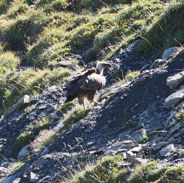 2026-09-lac-mantel/07petit.jpg