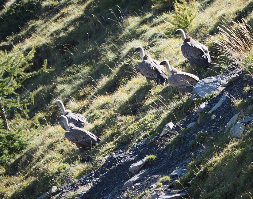 2026-09-lac-mantel/09petit.jpg