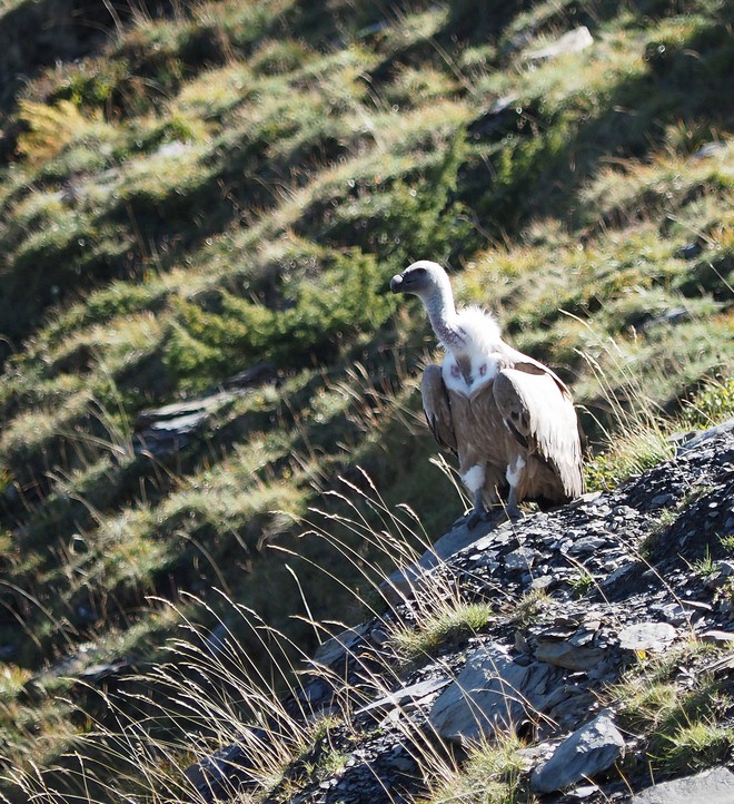 2026-09-lac-mantel/10petit.jpg