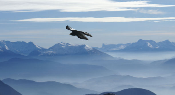 Divers-nature/132petit.jpg